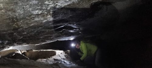 481777161 1136654981782728 1181960878365440550 n