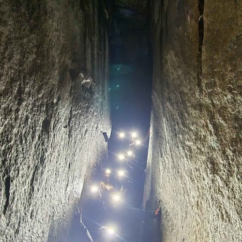 486789600 9803033099708395 1923838856323532129 n